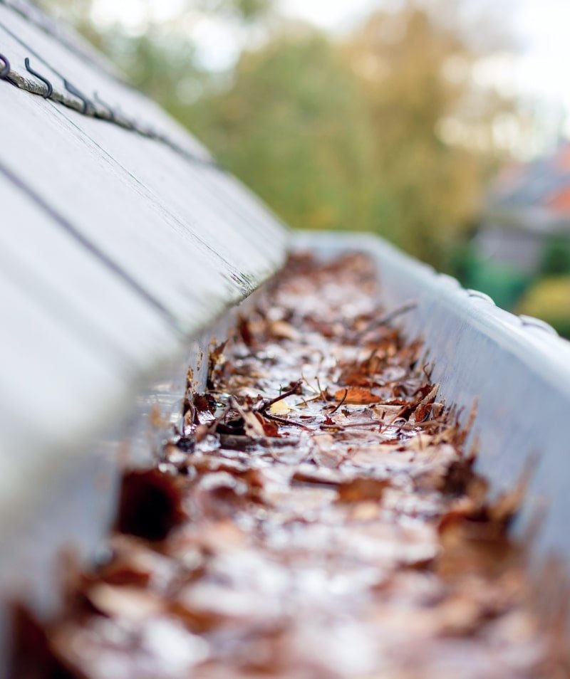 Gutter Cleaning pic